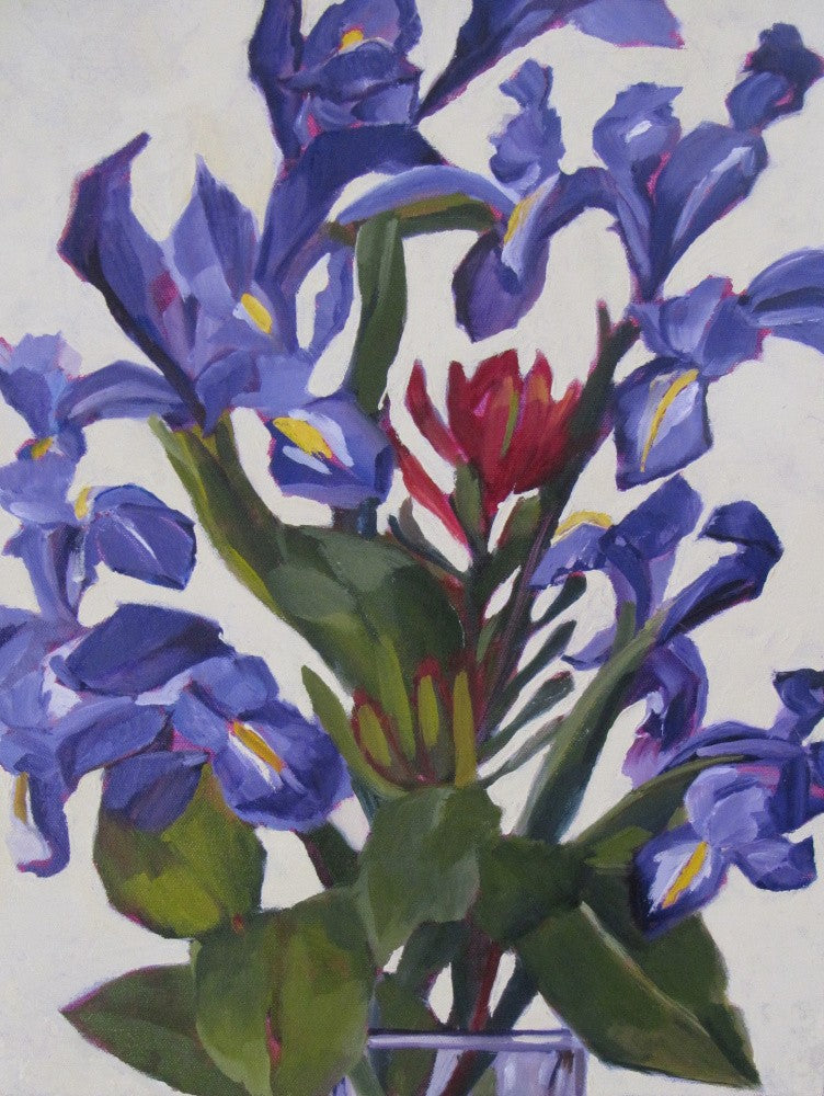 Iris Design