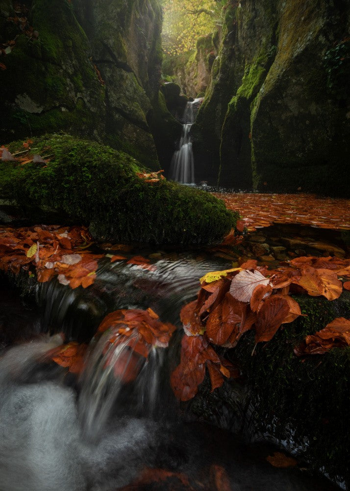 Otoño