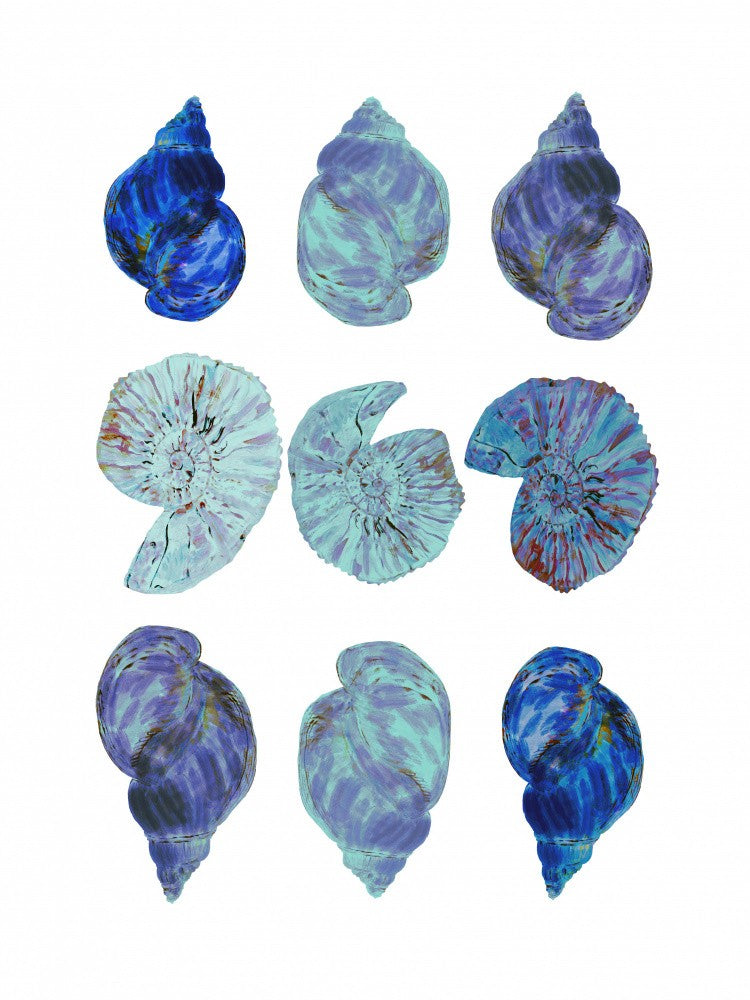 Blue Sea Shells Poster