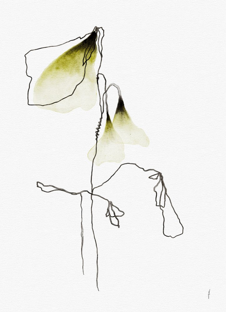 SOFT SPRING