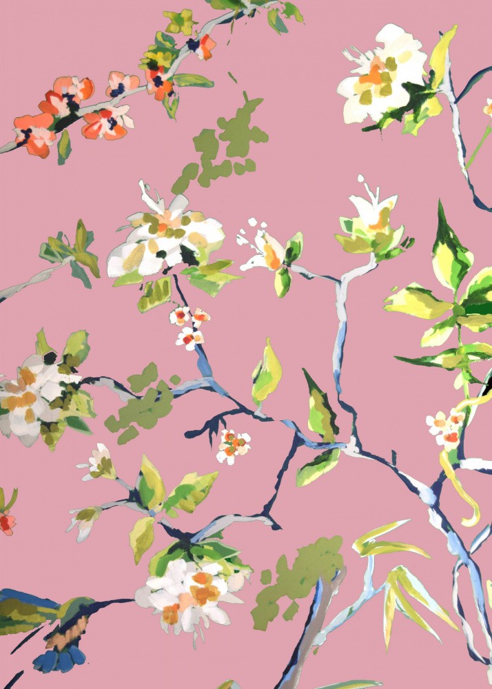 Dining Room Walls Pink 1.png