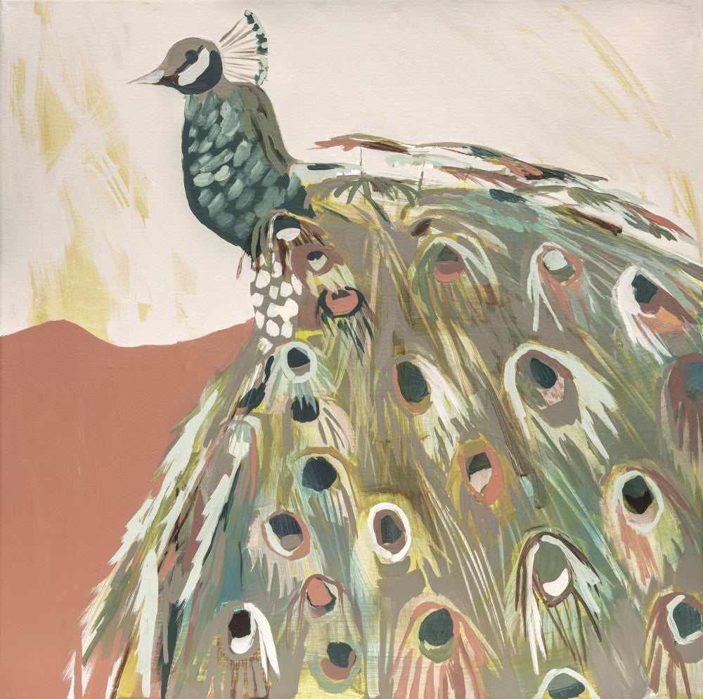 Pfau Lachs