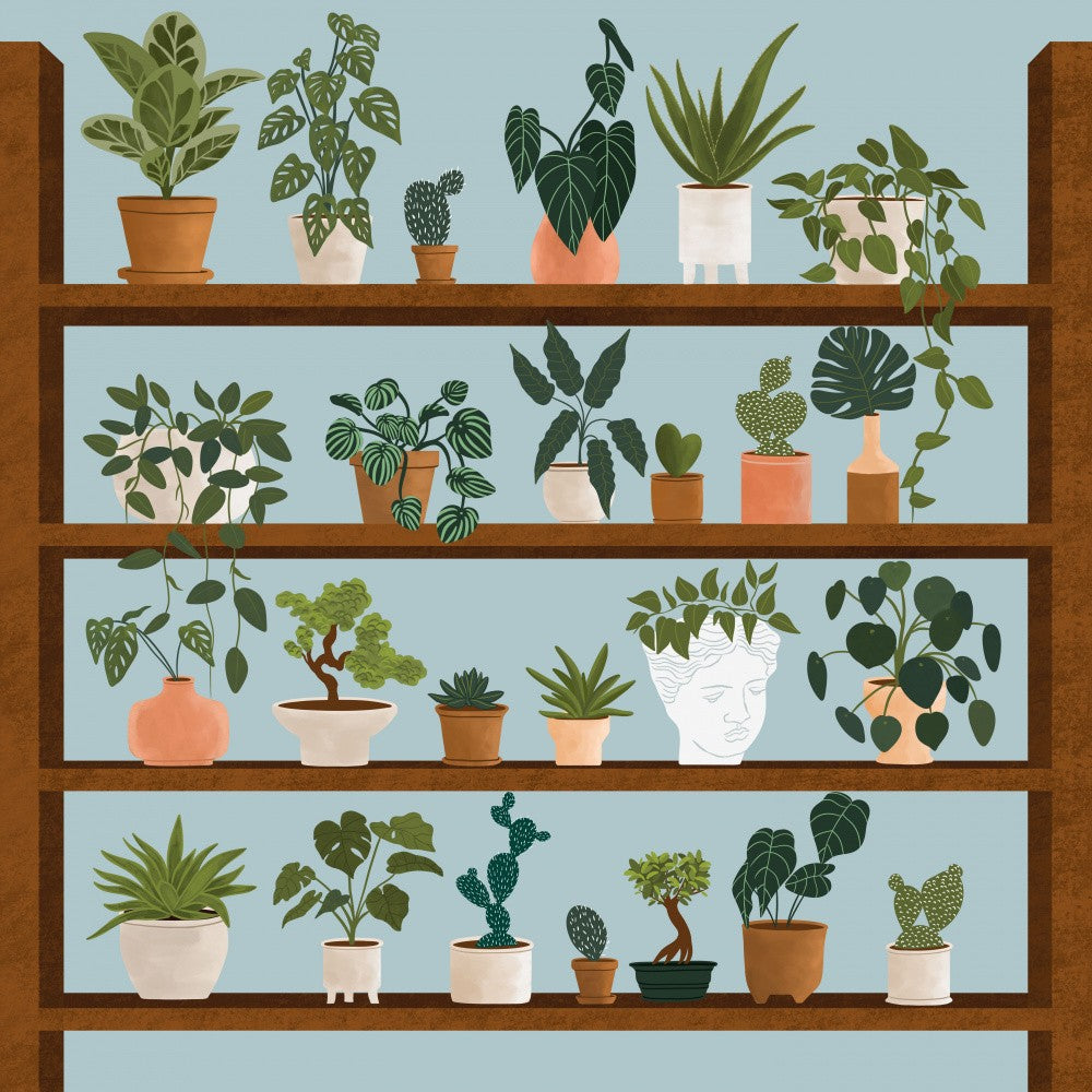 Étagères à plantes
