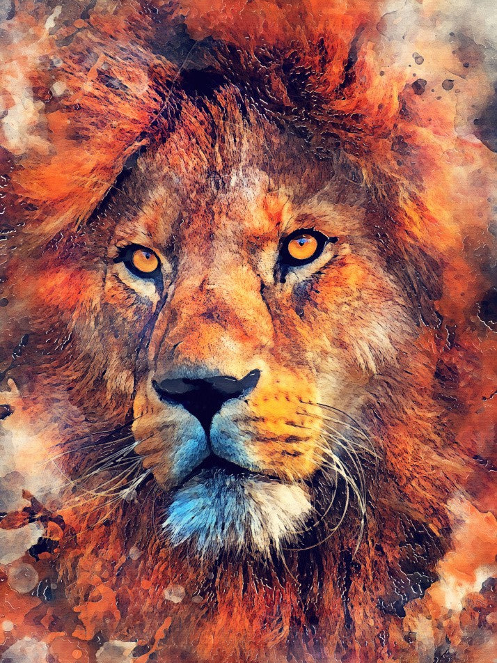 Lion animal art