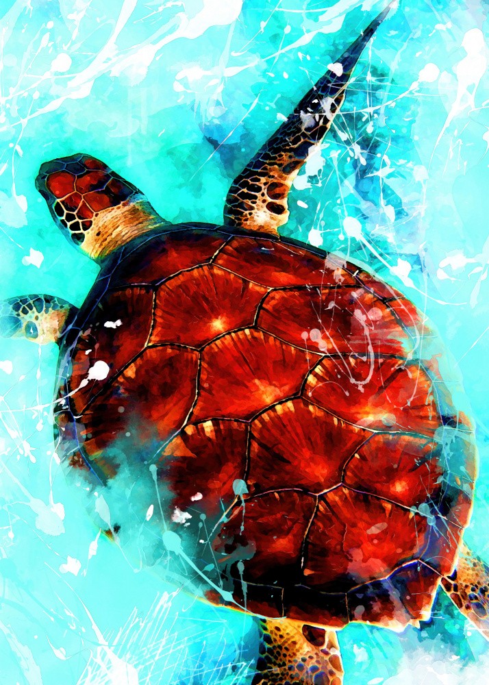 Tortoise animal art