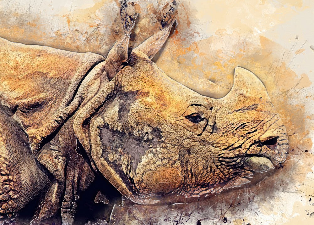 Rhinoceros animal art