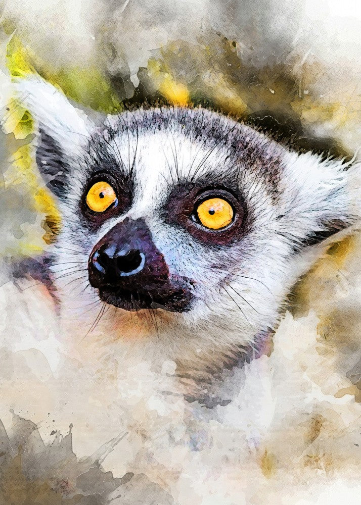 Lemur animal art