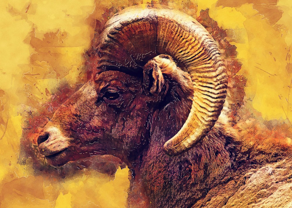 Mouflon animal art