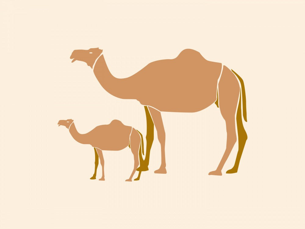 Camel Mother