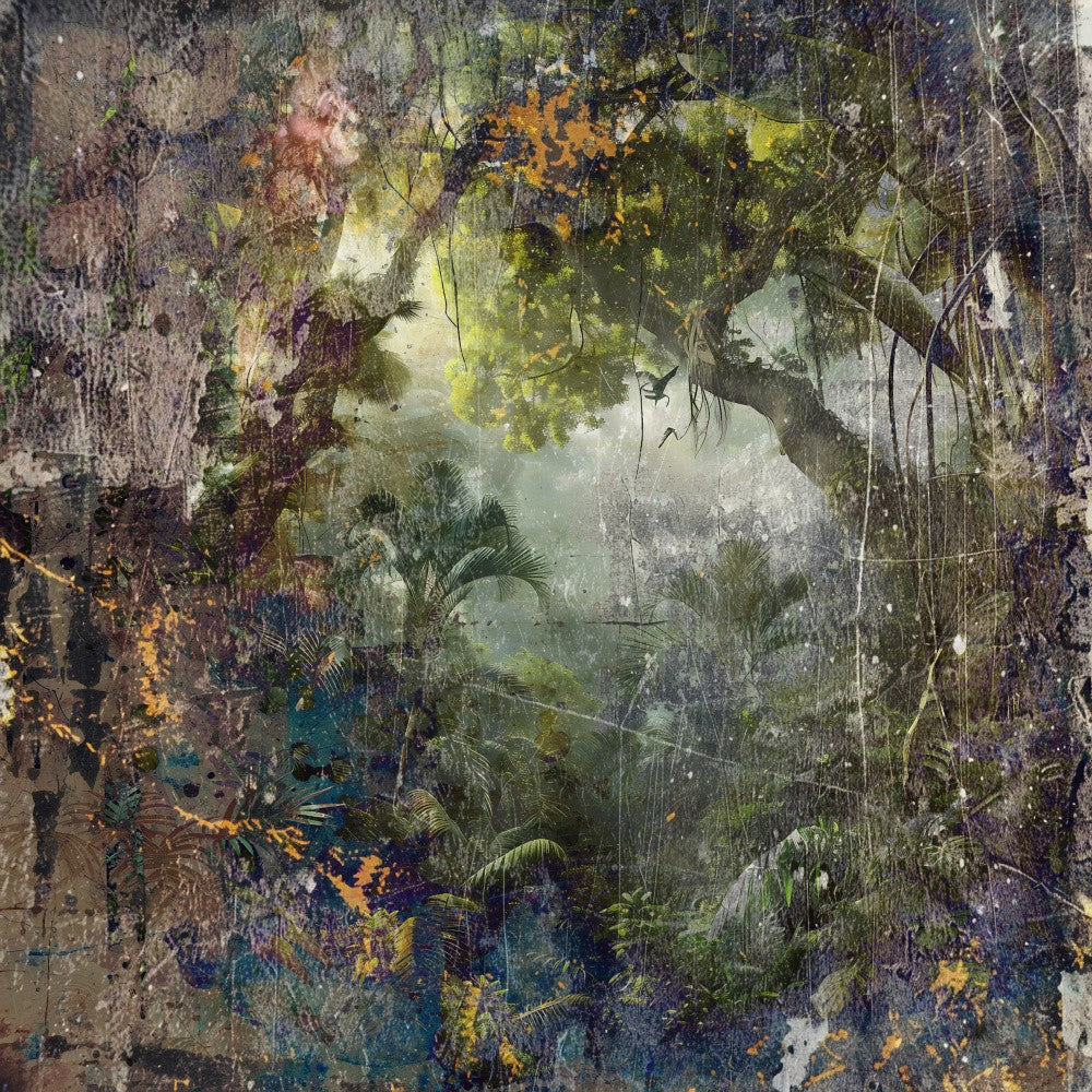 Jungle Forest Art Illustration 01