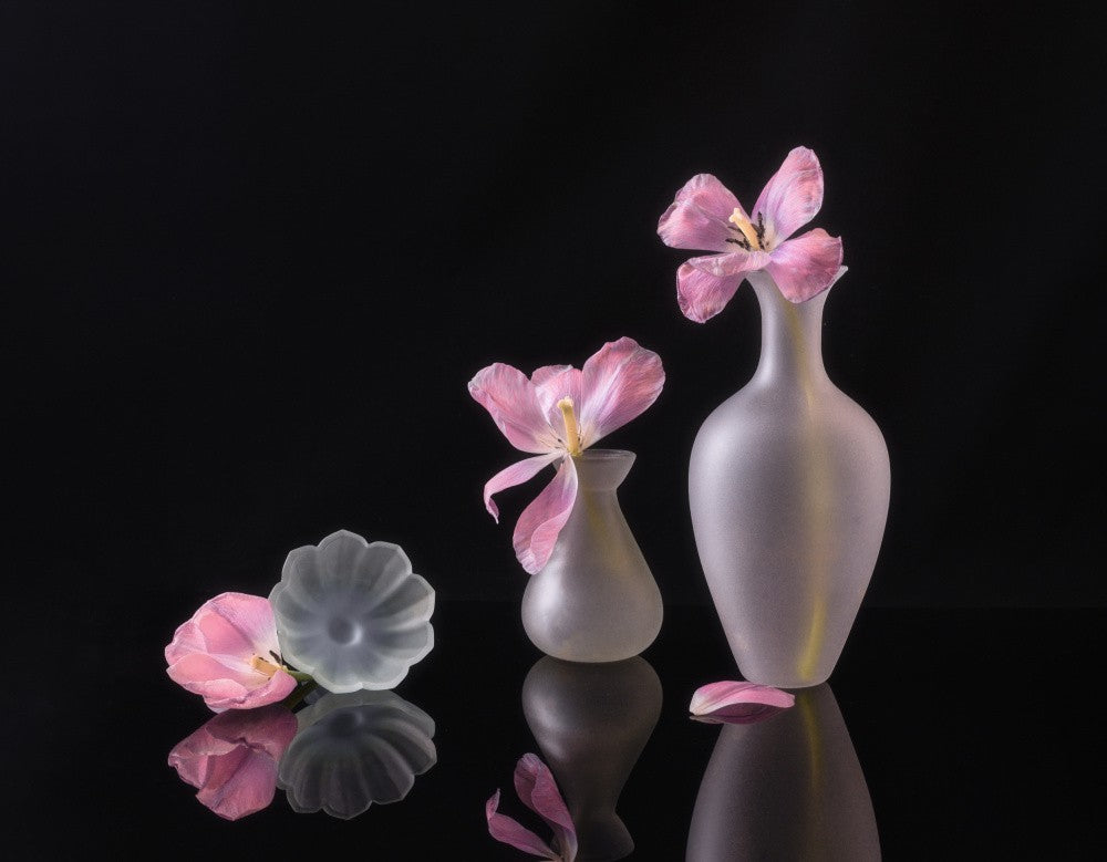 still life 122