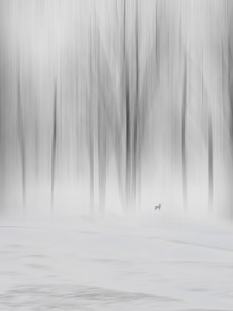 Wintertag