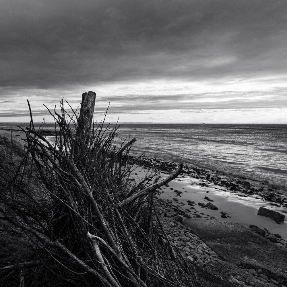 Elemental Palisade - Ray Truter Photography Fine Art Originals