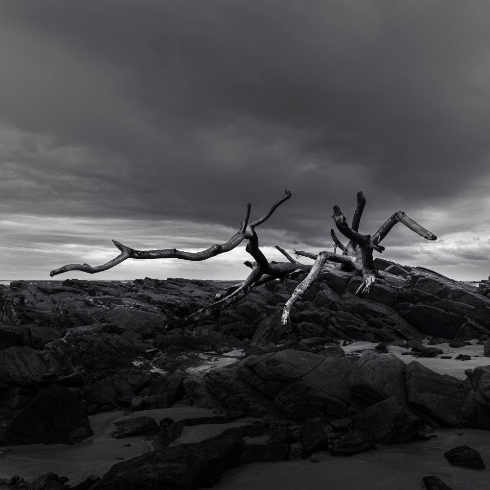 Flotsam Remnants - Ray Truter Photography Fine Art Originals