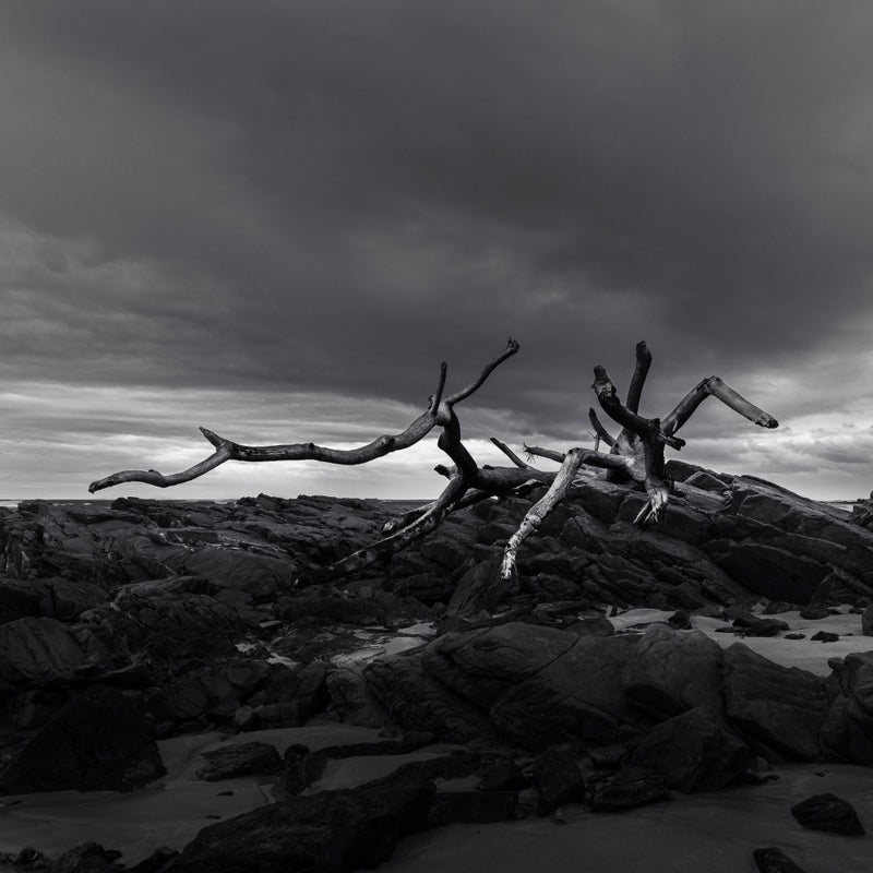 Débris Flottants - Ray Truter Photography Œuvres d'Art Originales