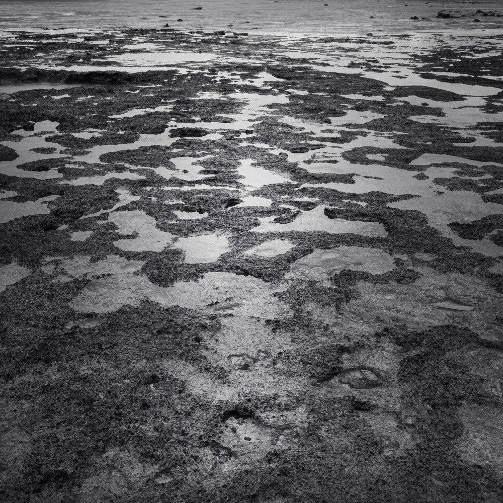 Marine Microcosm - Ray Truter Photography Fine Art Originals
