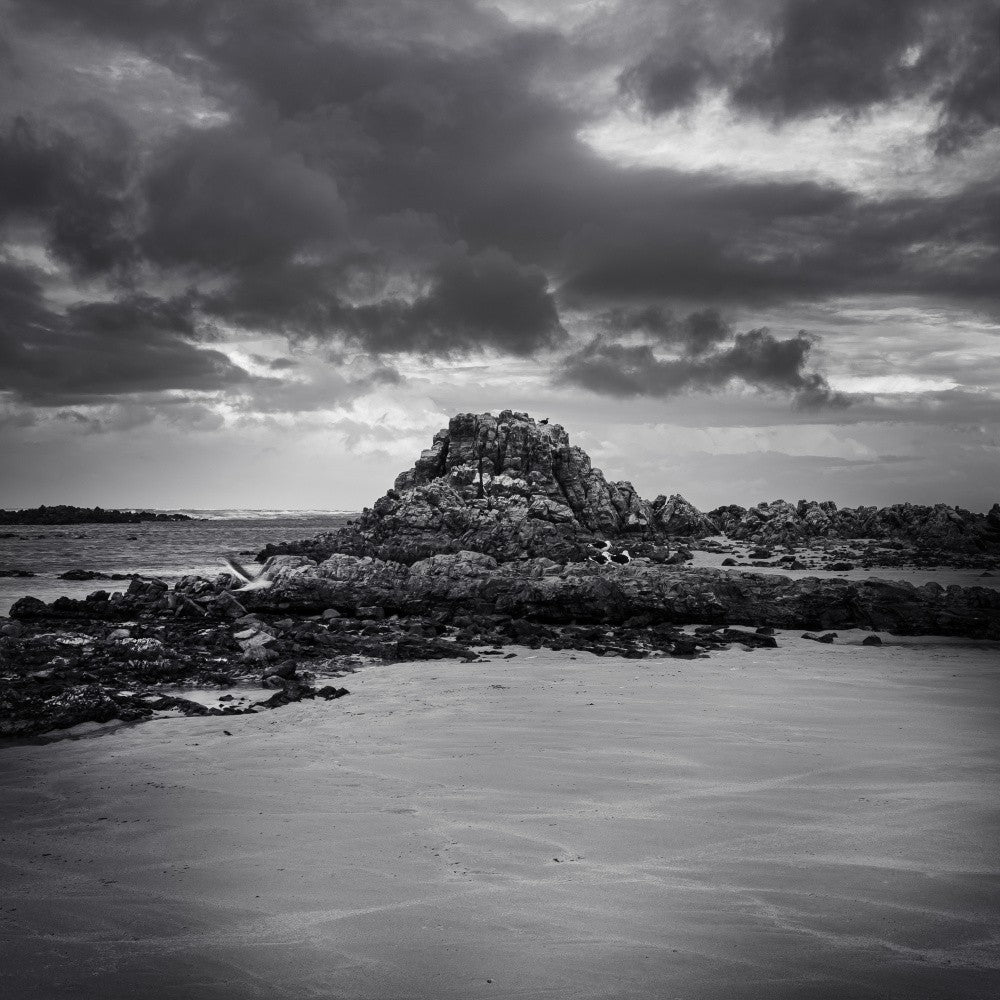 Oceanic Sculptures - Ray Truter Photography Fine Art Originals