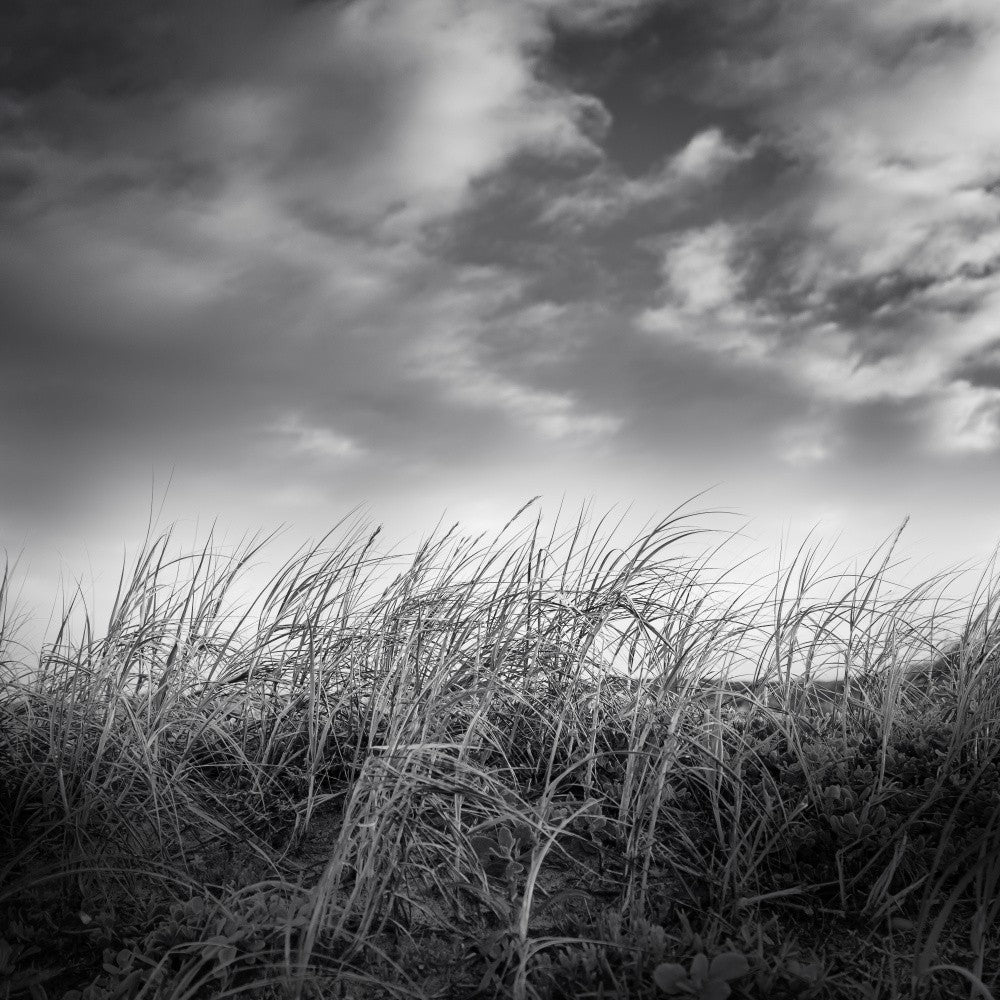 Soothing Meadow - Ray Truter Photography Fine Art Originals