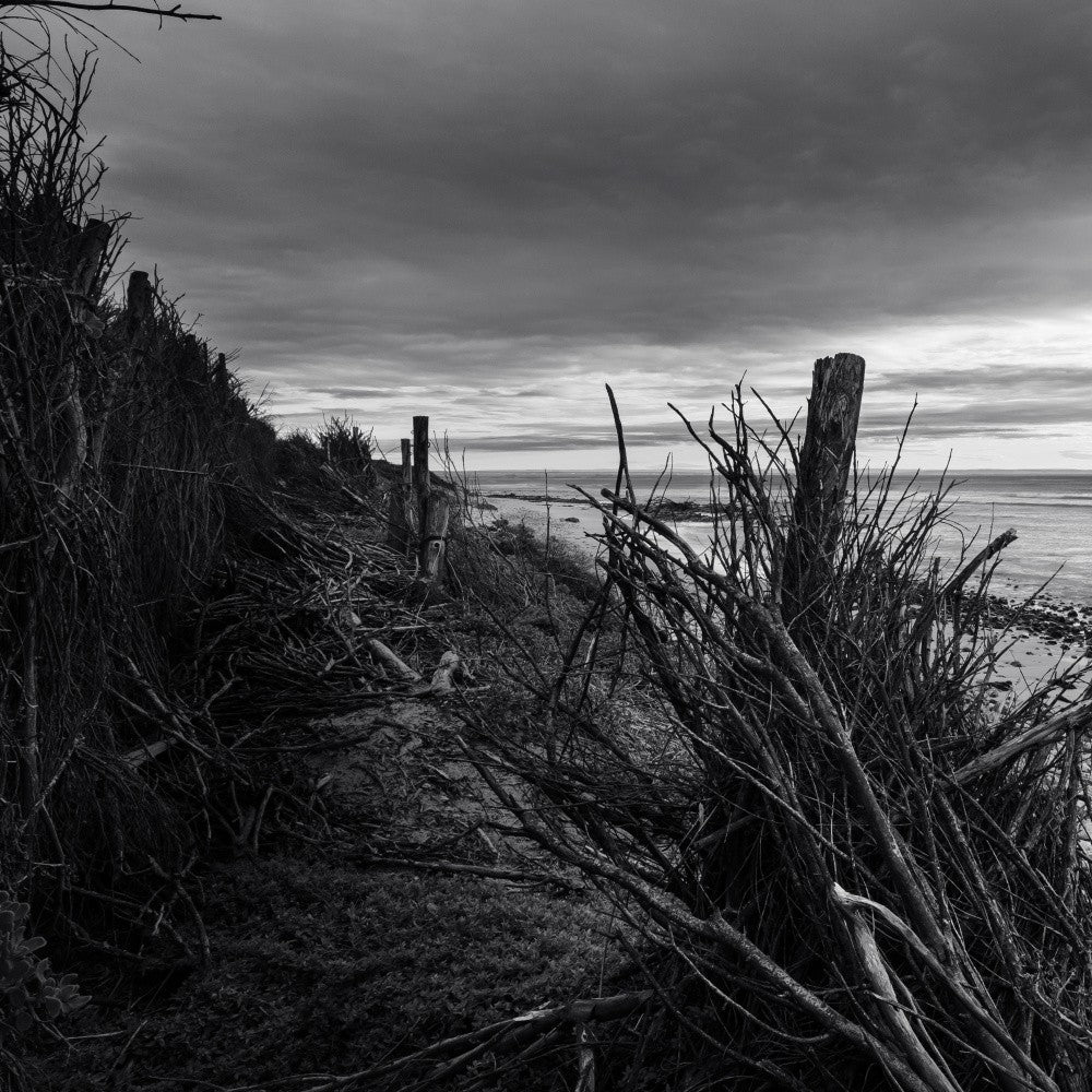 Perimeter Pathways - Ray Truter Photography Fine Art Originals