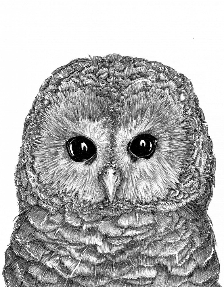 Little Owl Duvet