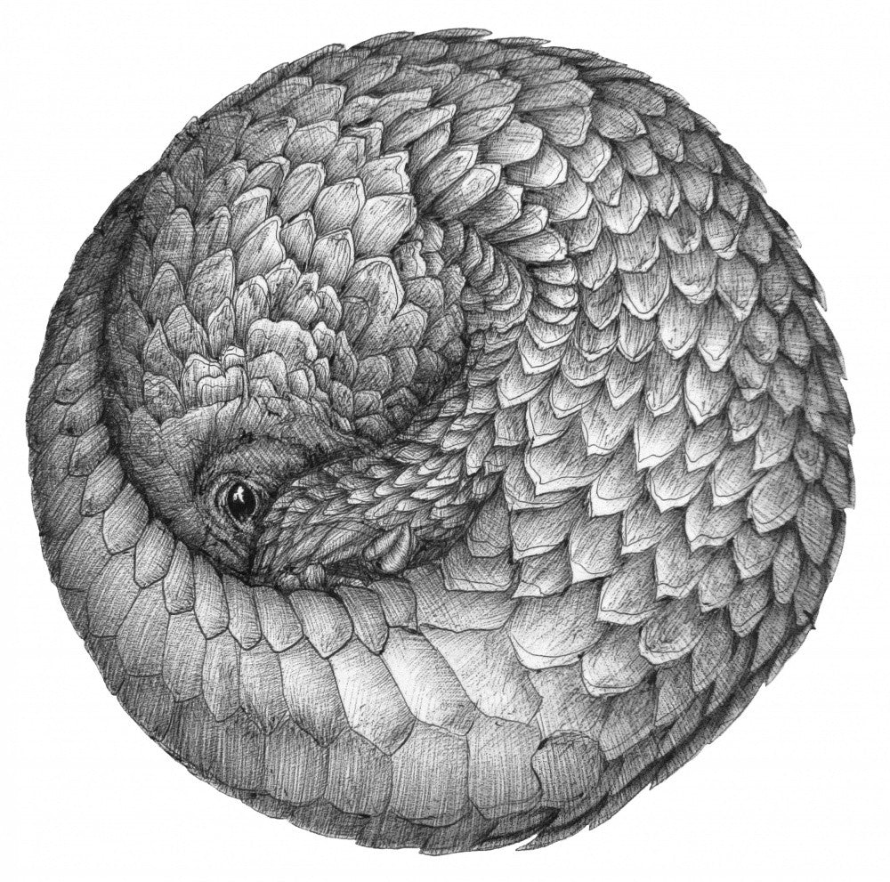 Pangolin Ball Original