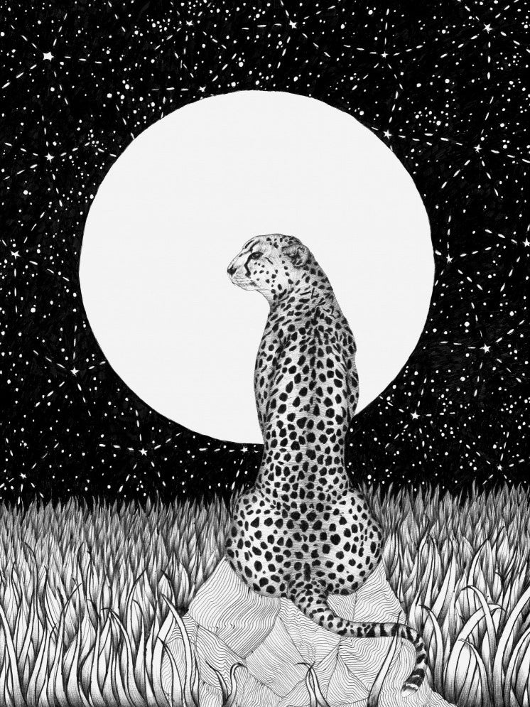 Cheetah Moon Large