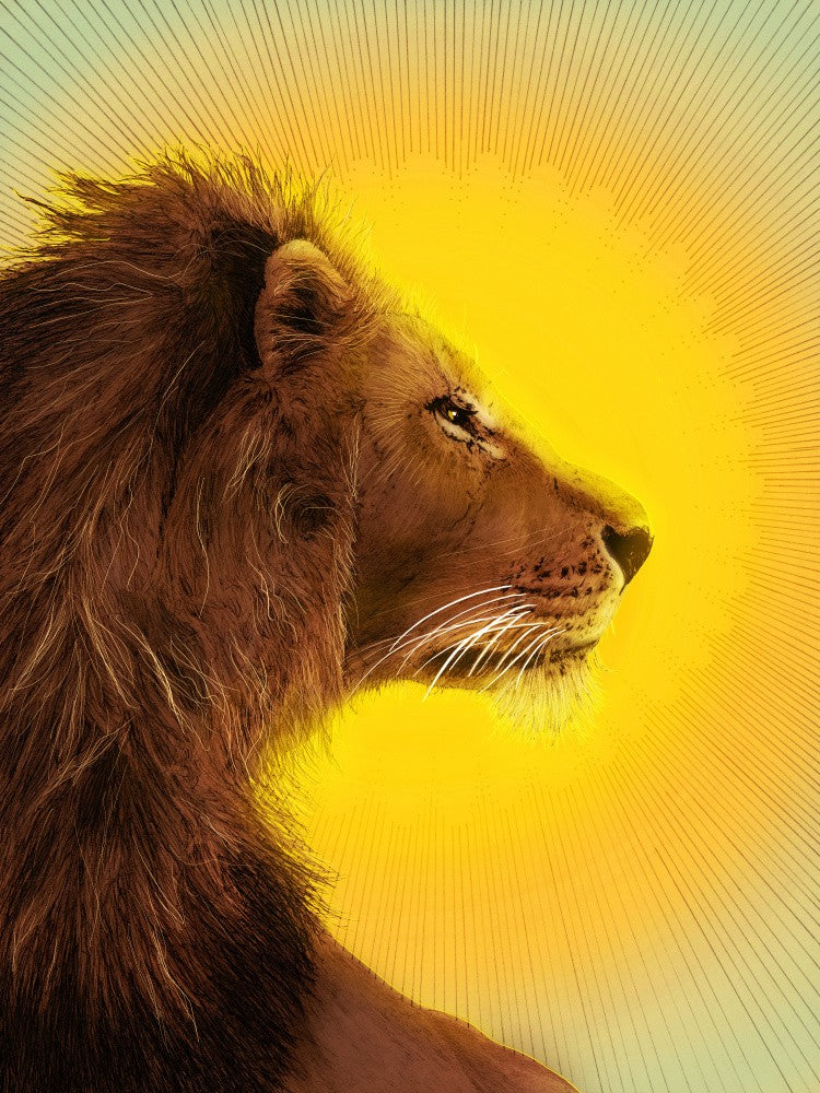 Sun and Lion Colour