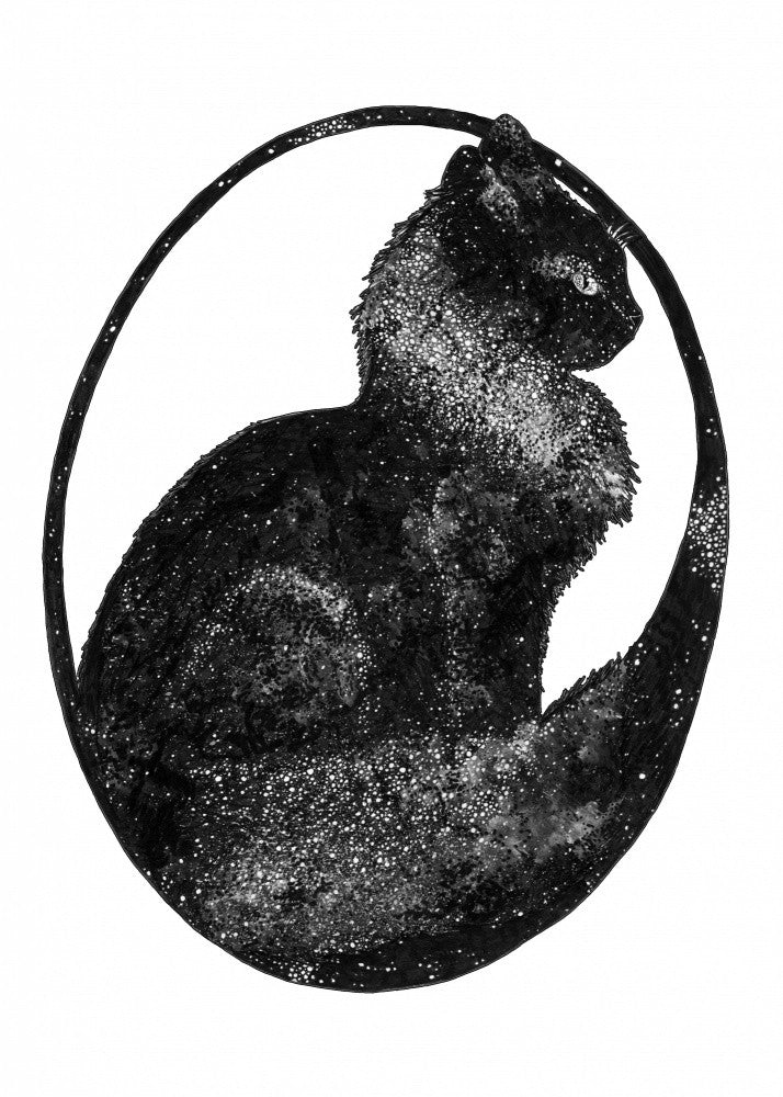 Space Cat