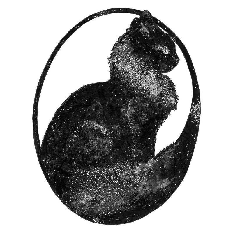 Space Cat