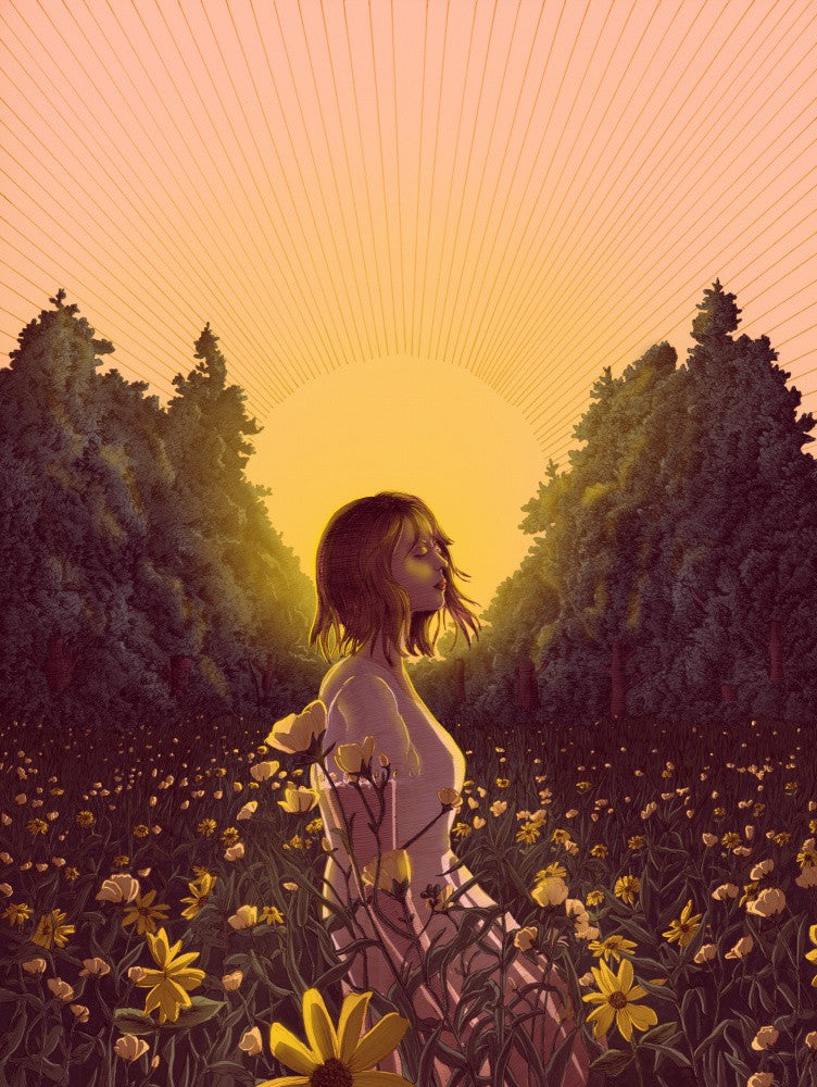 The Meadow At Dawn Colour Large