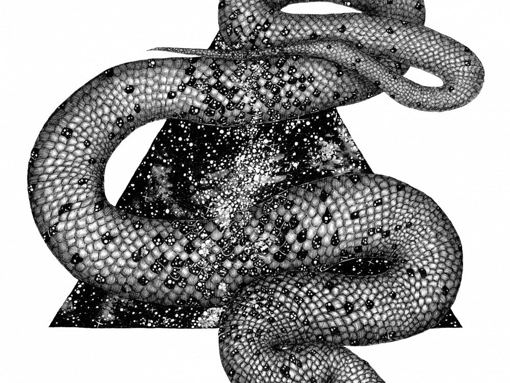 Cosmic Snake Mural