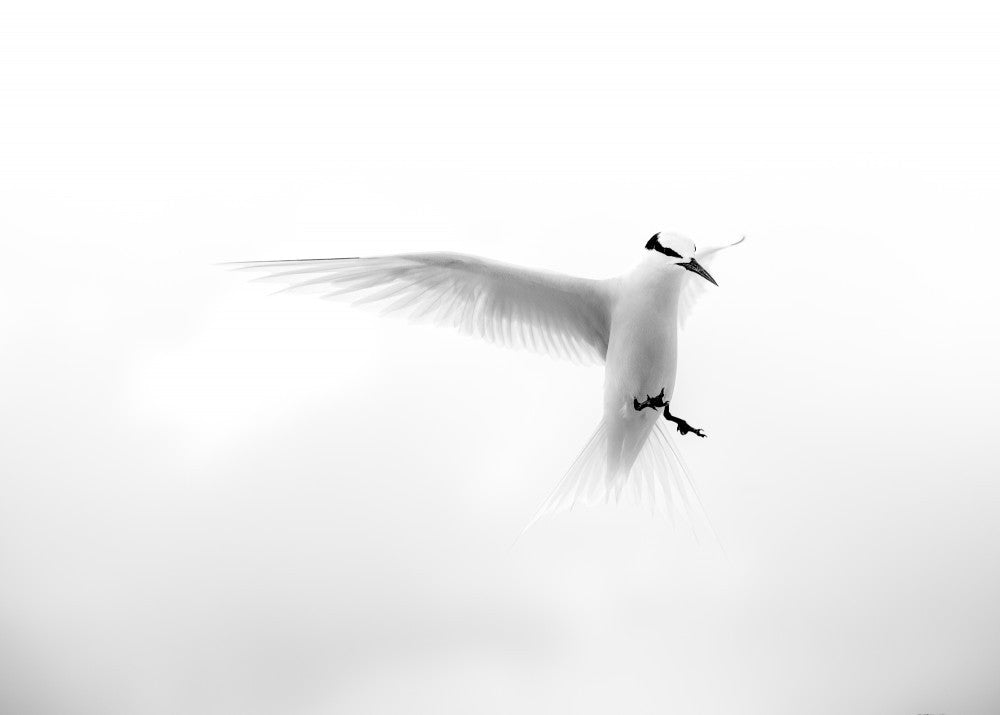 Wie ein Engel