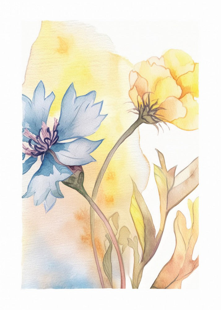 Watercolor Cornflower