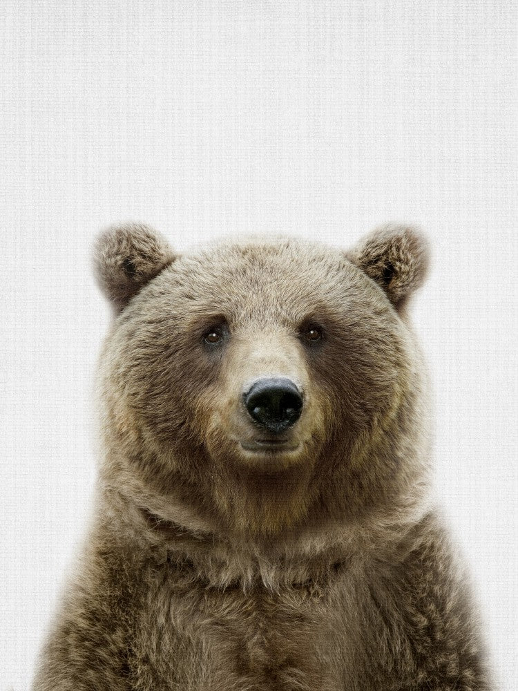Peekaboo Bear