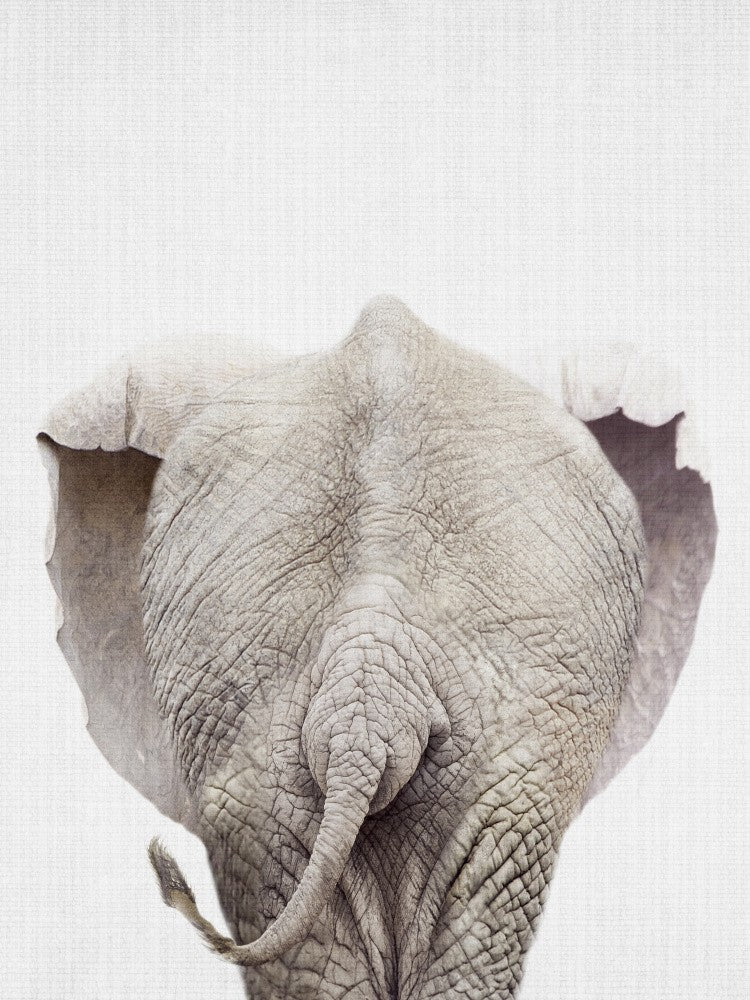 Peekaboo Elephant Tail