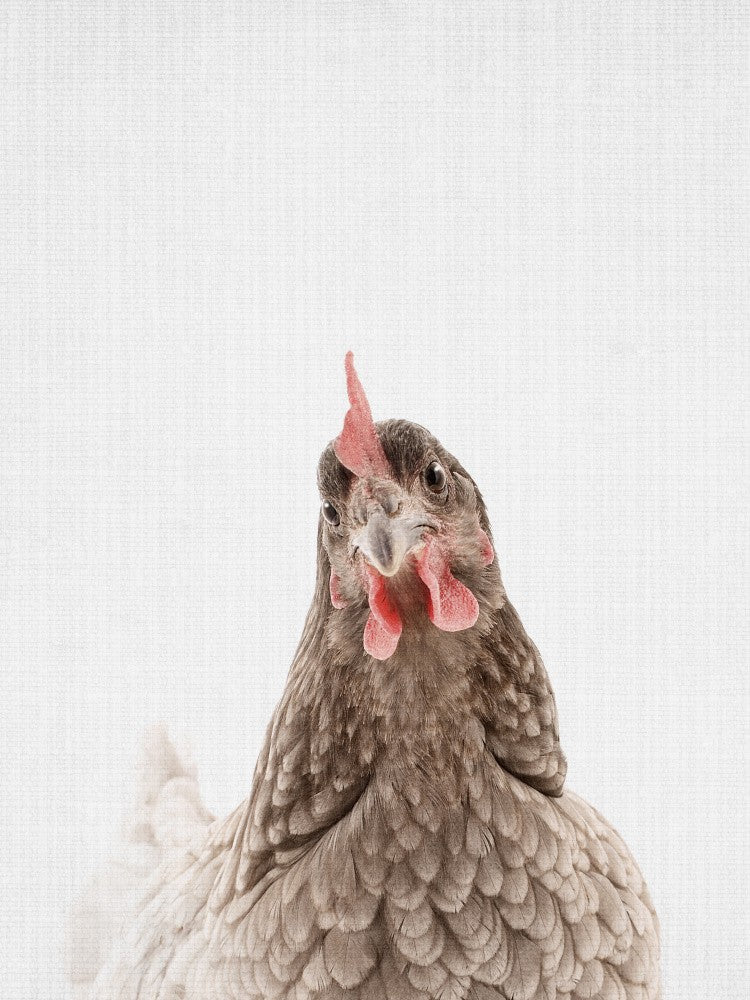 Peekaboo Chook