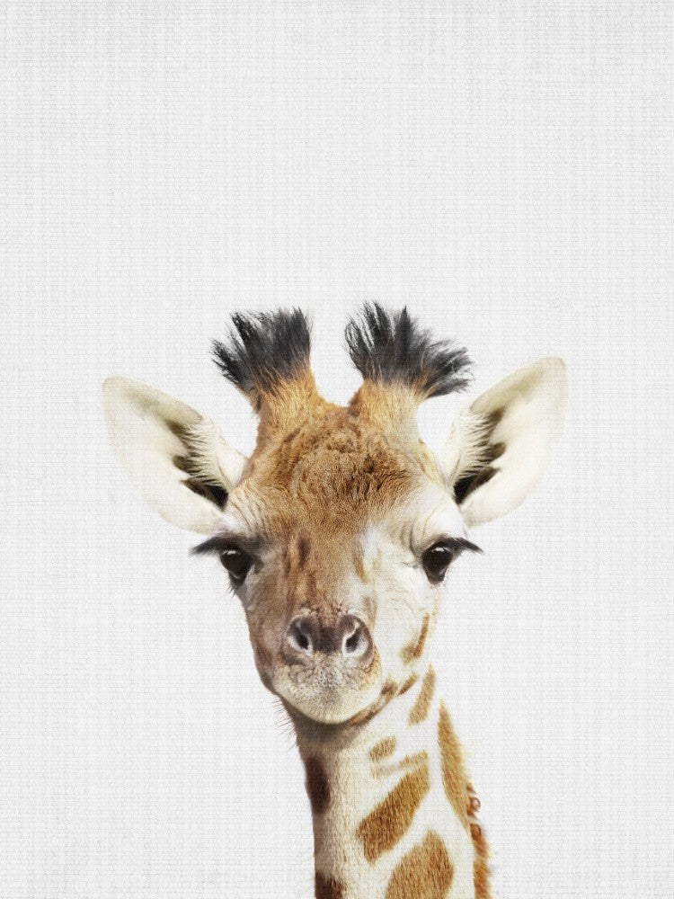 Guck-guck Giraffe