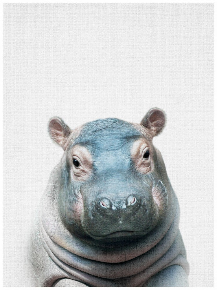 Peekaboo Hippo