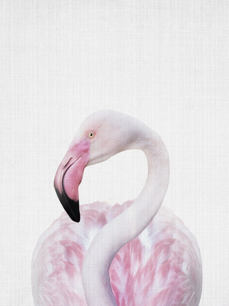 Peekaboo Flamingo
