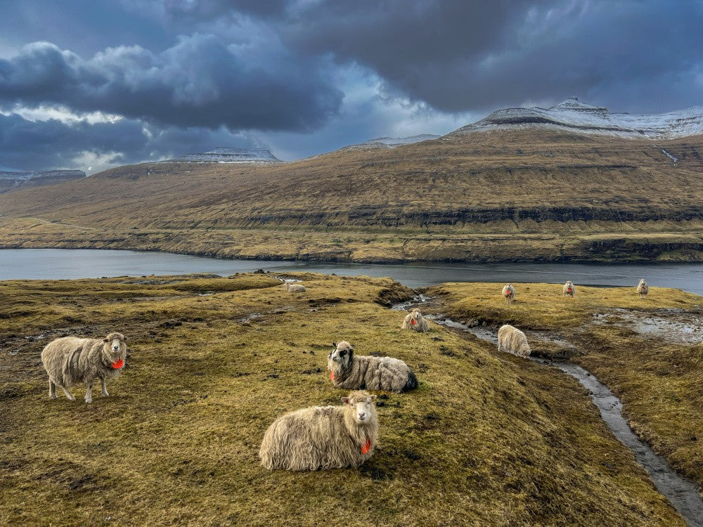 Faroe Islands