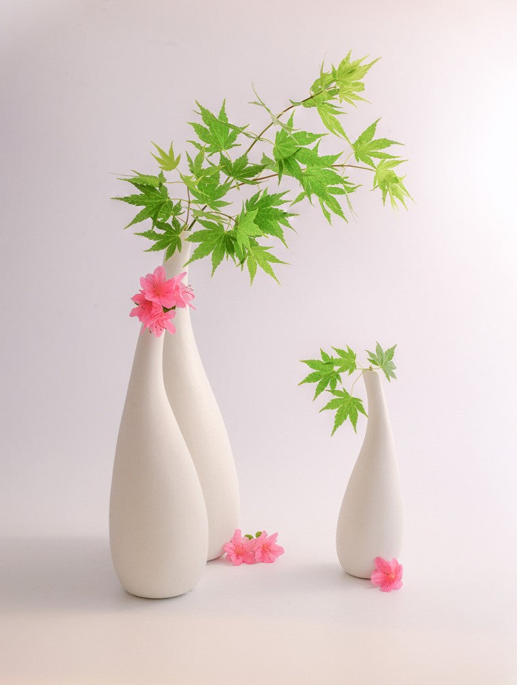 still life 123