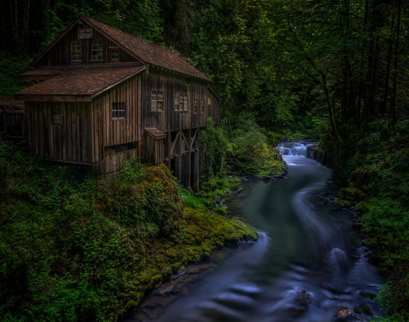 By the river