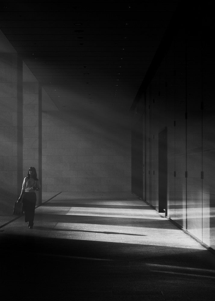 Where light meets shadow