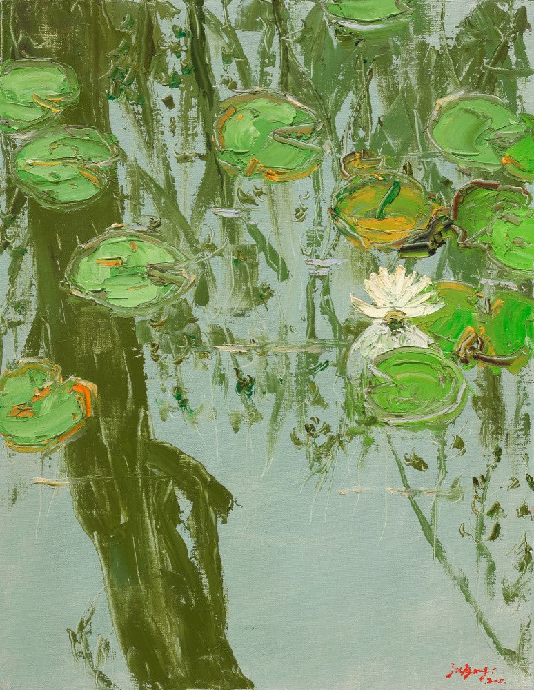 White Water Lily in Pond