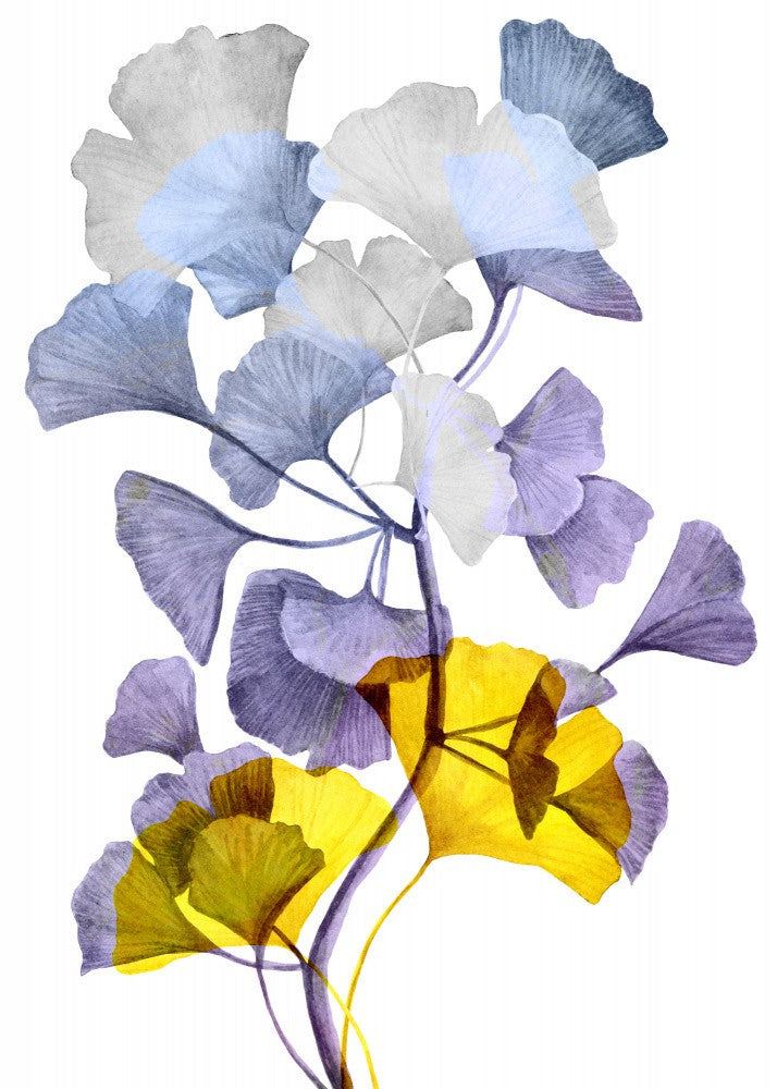 Ginko Biloba Nature Floral Art (1)