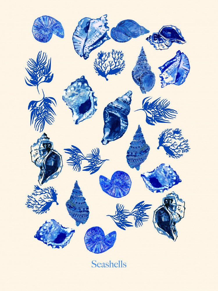 Affiche Coquillages