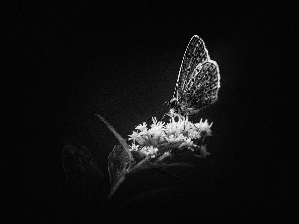 In the silence