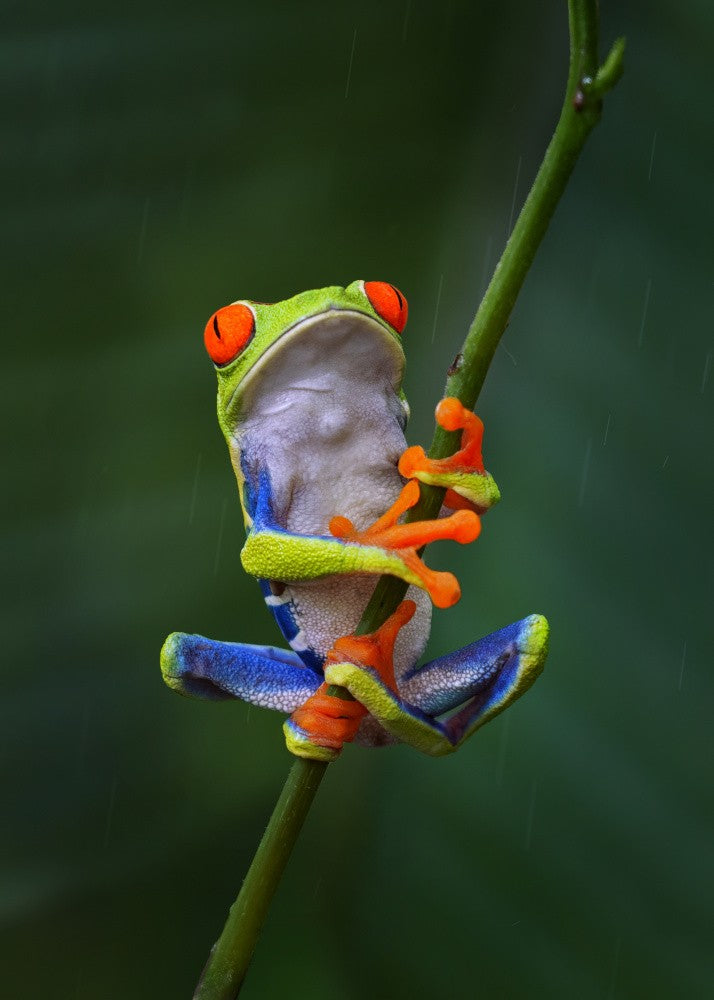 Hold Still