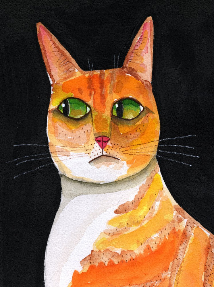 Side Eye Cat Closeup ginger cat