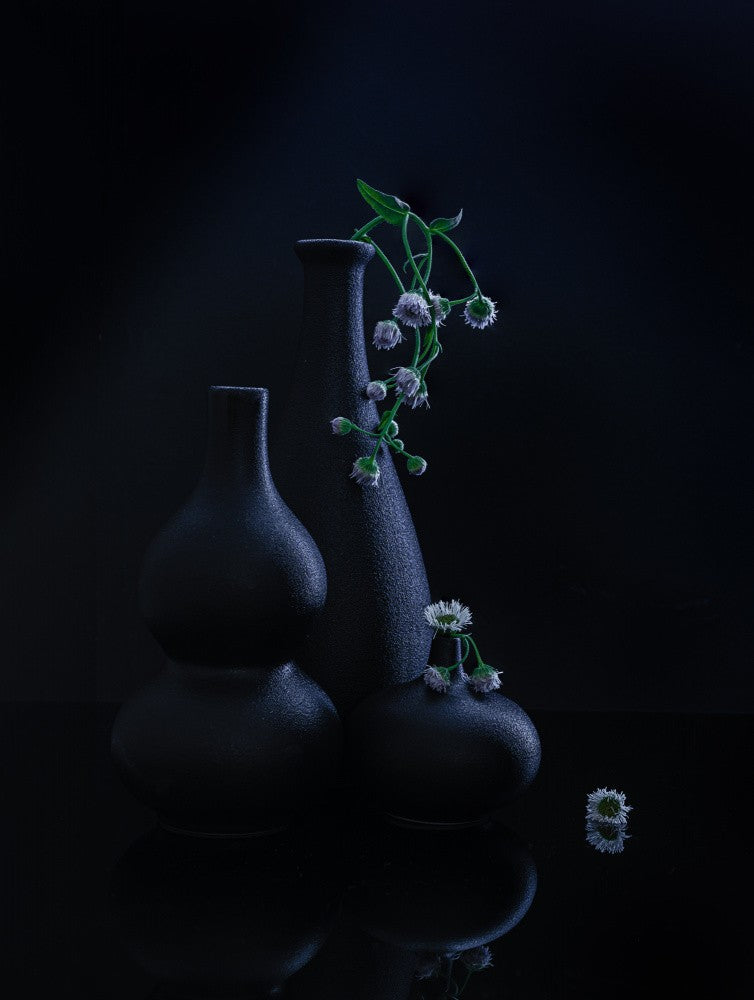 still life 125